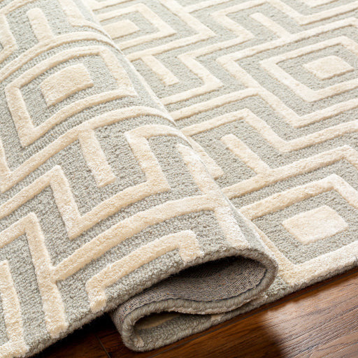 Surya Rugs Addison Collection Beige & Sage Pattern Area Rug ADD-2301 - Image 2