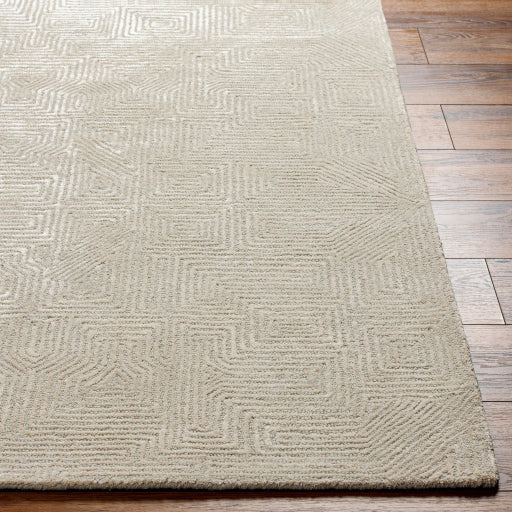 Surya Rugs Addison Collection Beige Pattern Area Rug ADD-2304 - Image 4