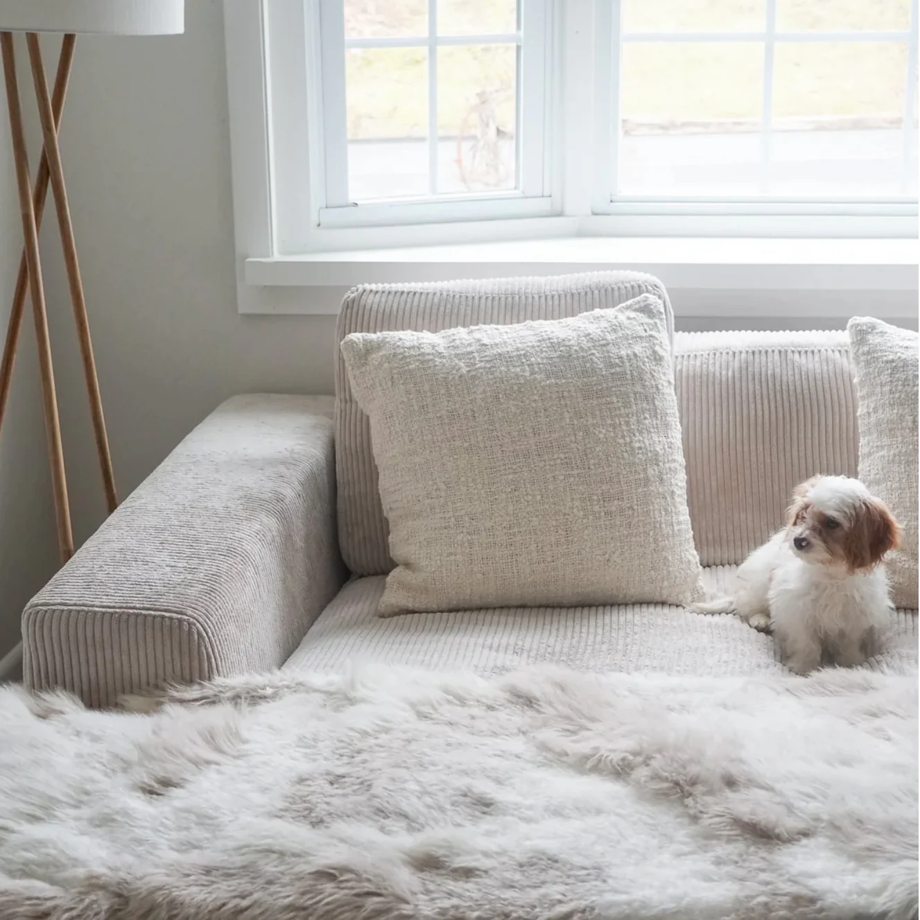 Anaya Home Cozy Cotton White Boucle Euro Pillow 26x26 With Down Insert ~ DREAMY BEDDING SALE ~ Limited Quantity - Image 5