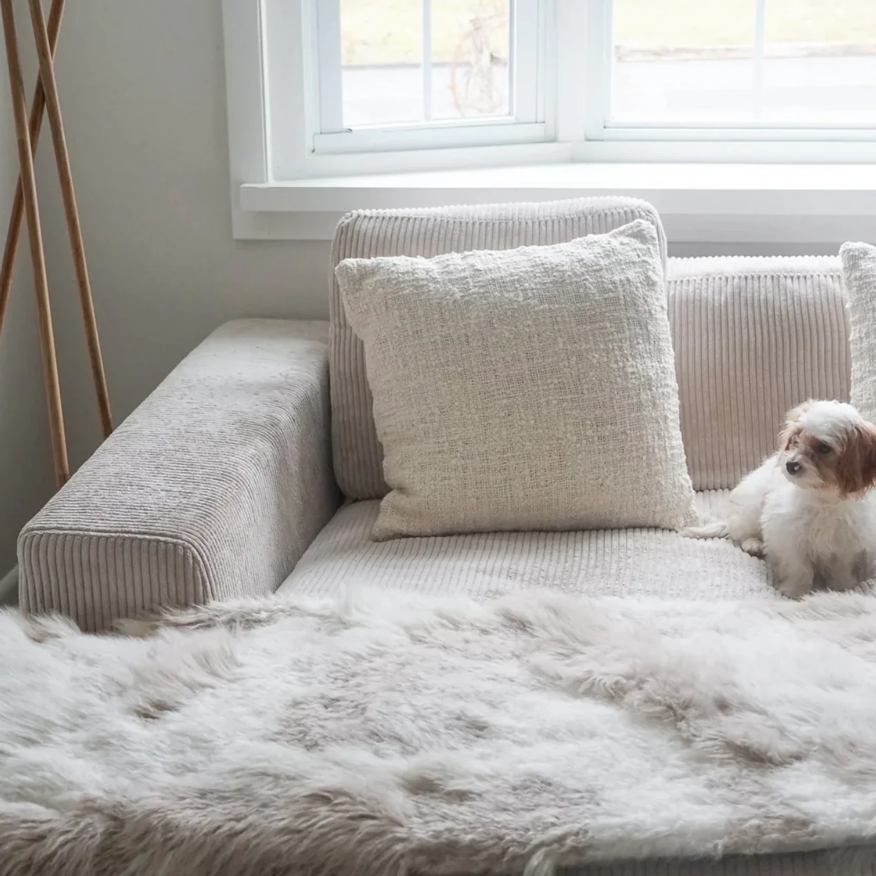 Anaya Home Cozy Cotton White Boucle Pillow 20x20 With Down Insert ~ DREAMY BEDDING SALE ~ Limited Quantity - Image 3