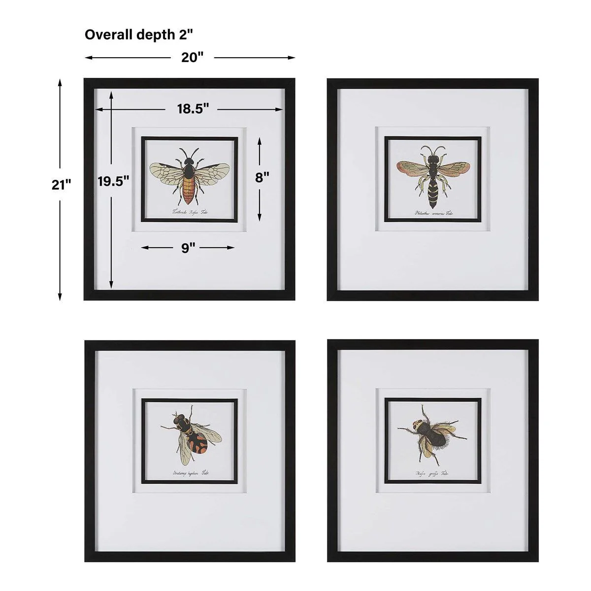 Uttermost Anthophila Bee Set of 4 Framed Prints - Image 5