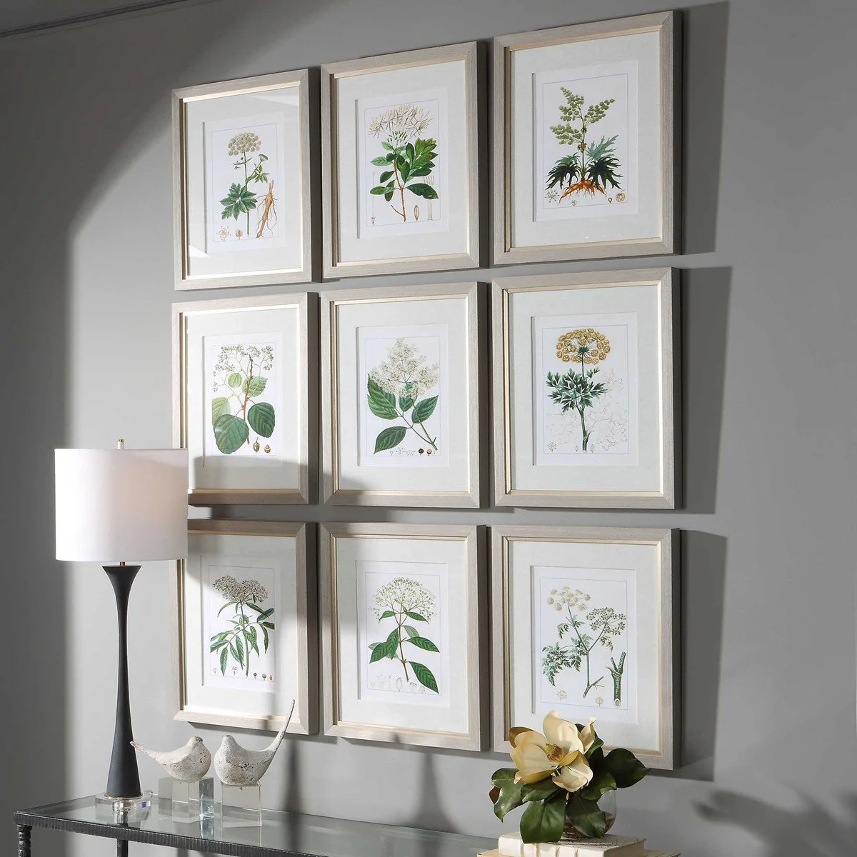 Uttermost Antique Botanicals Set of 9 Framed Prints - Image 3