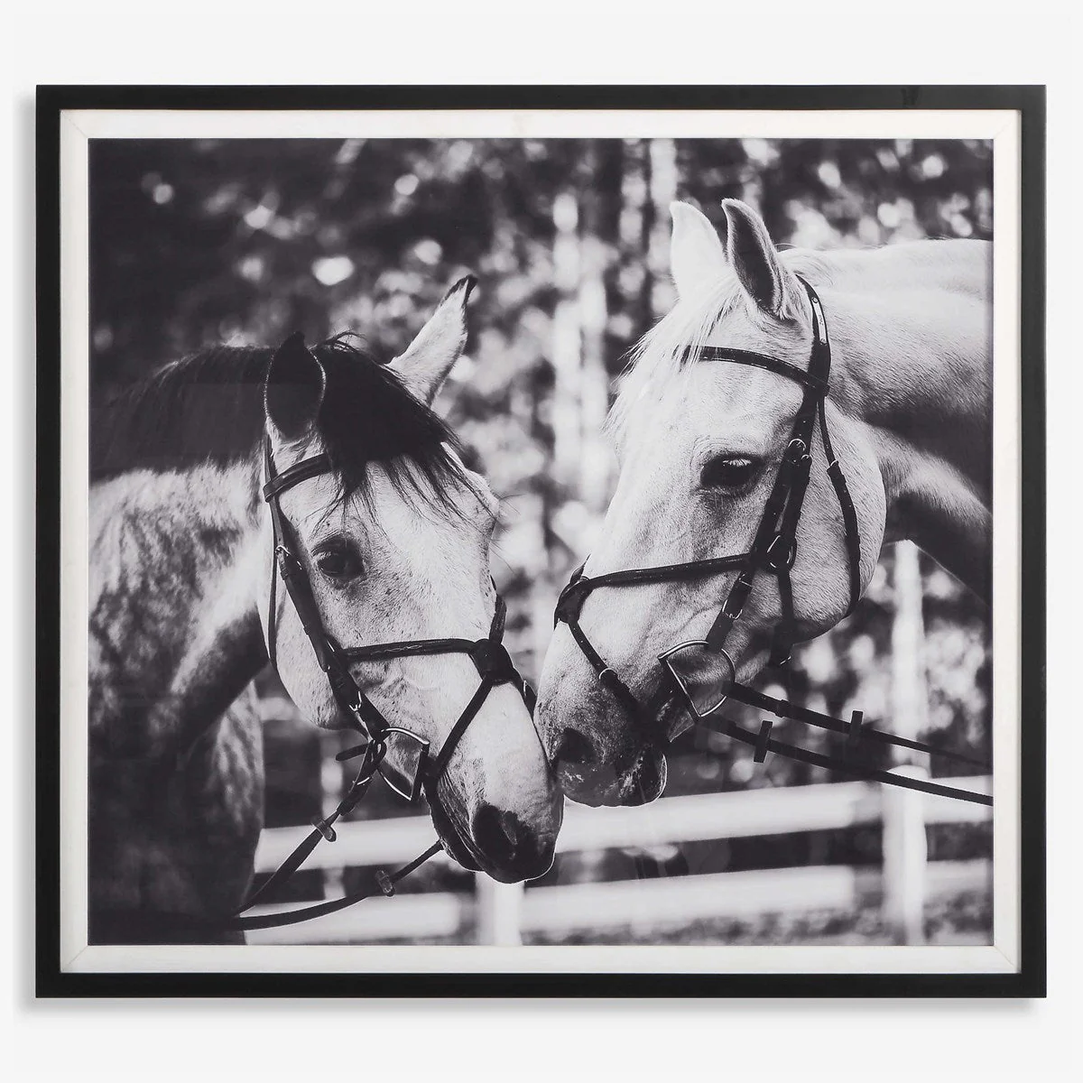 Uttermost Apple Of My Eye Black and White Horses Framed Print - Image 2