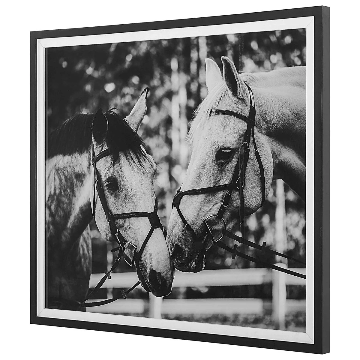 Uttermost Apple Of My Eye Black and White Horses Framed Print - Image 5