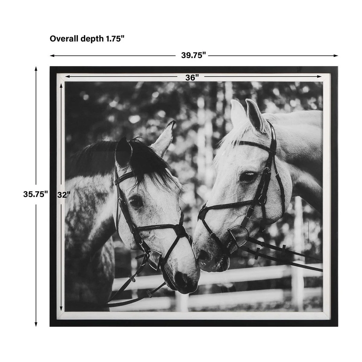 Uttermost Apple Of My Eye Black and White Horses Framed Print - Image 8