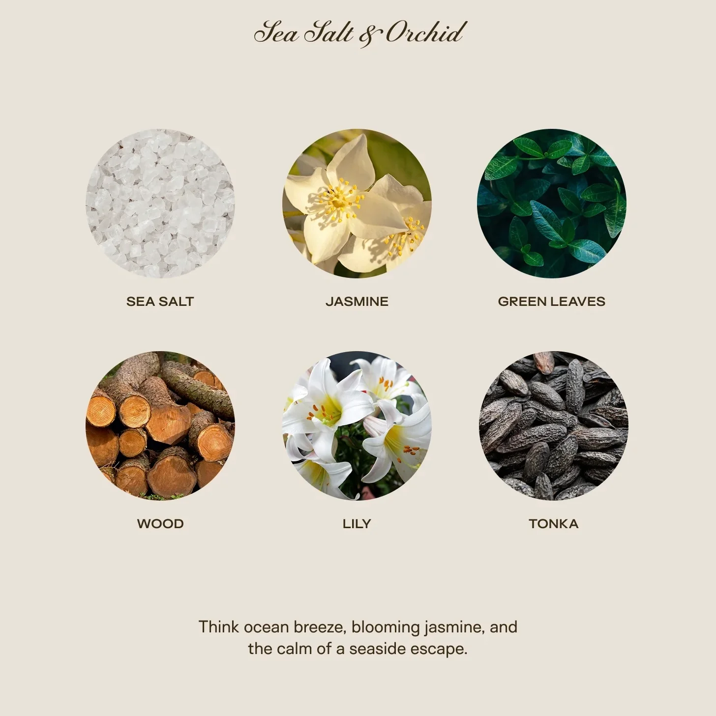 Big Ass Luxuries Sea Salt & Orchid Baby Big Ass Candle ~ 150 oz. ~ IN-STORE PURCHASE ONLY - Image 3