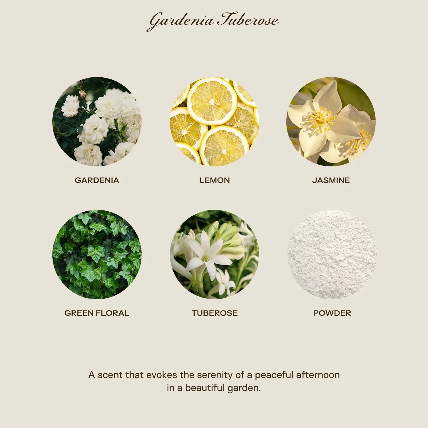 Big Ass Luxuries Gardenia Tuberose Baby Big Ass Candle ~ 150 oz. ~ IN-STORE PURCHASE ONLY - Image 3