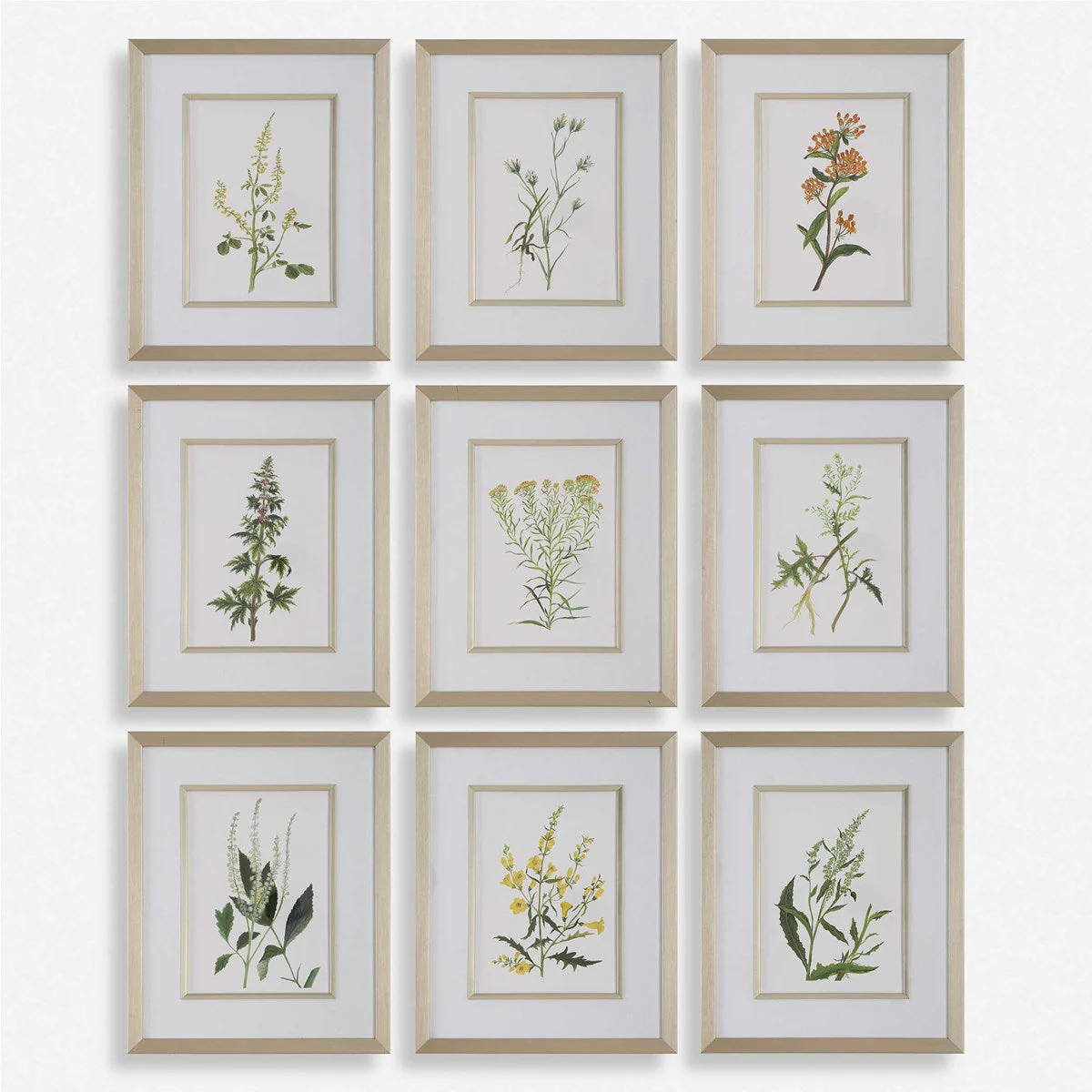 Uttermost Botanical Flowers Set of 9 Framed Prints - Image 2