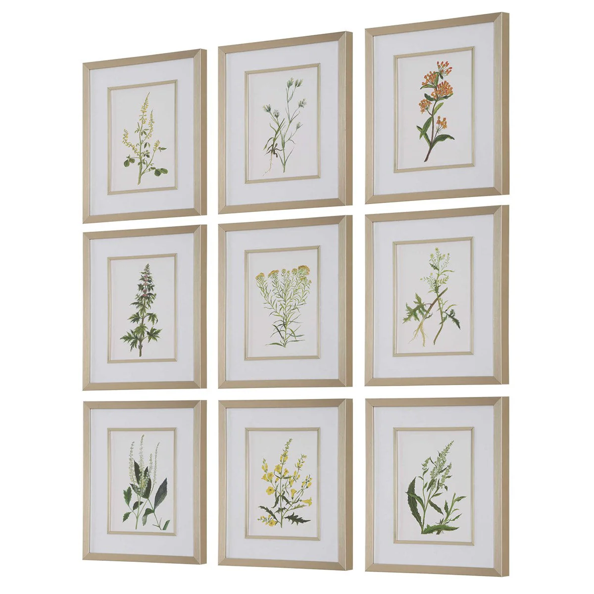 Uttermost Botanical Flowers Set of 9 Framed Prints - Image 4