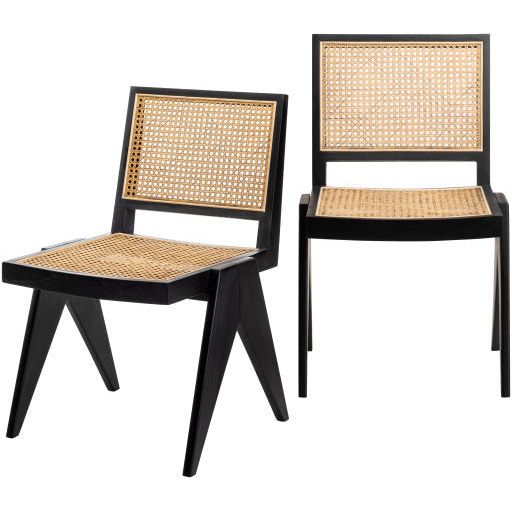 Surya Hague Modern Set of 2 Rattan & Black Wood Dining Chairs