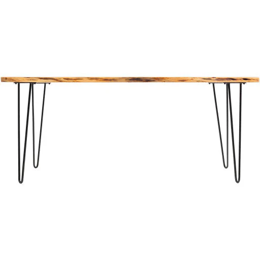 Surya Bergen Modern Wood Dining Table With Black Metal Base - Image 3