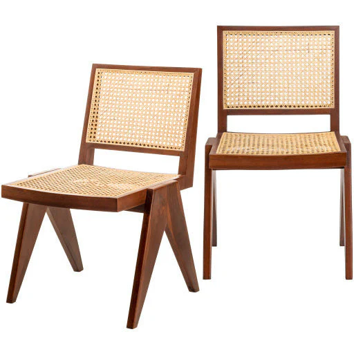 Surya Hague Modern Set of 2 Rattan & Wood Dining Chairs