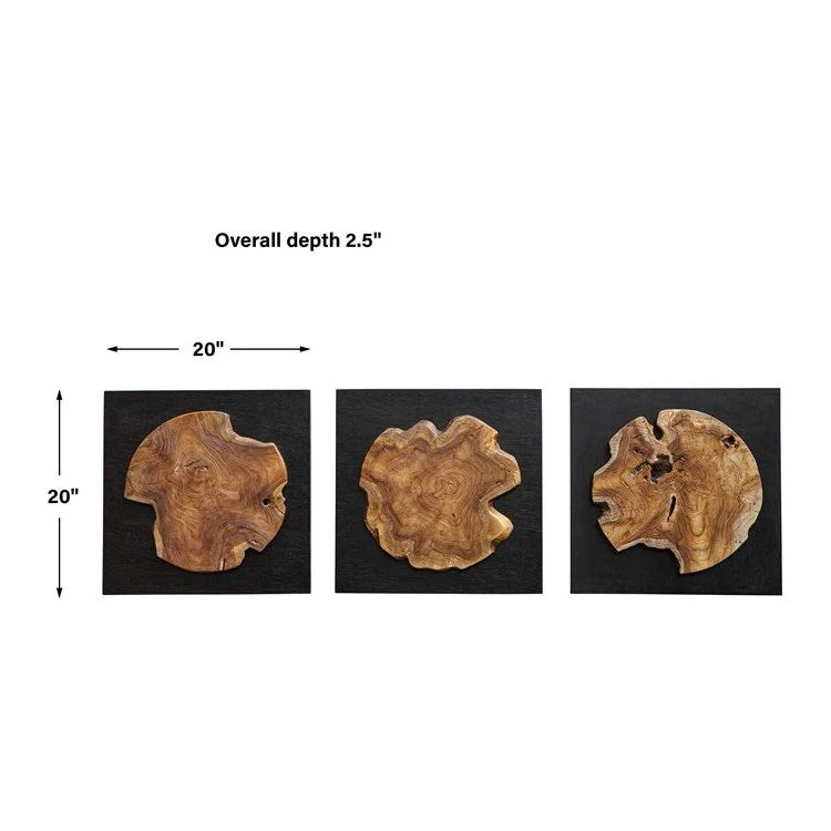 Uttermost Kolini Set of 3 Black Panels with Natural Teak Wood Wall Art Decor - Image 4