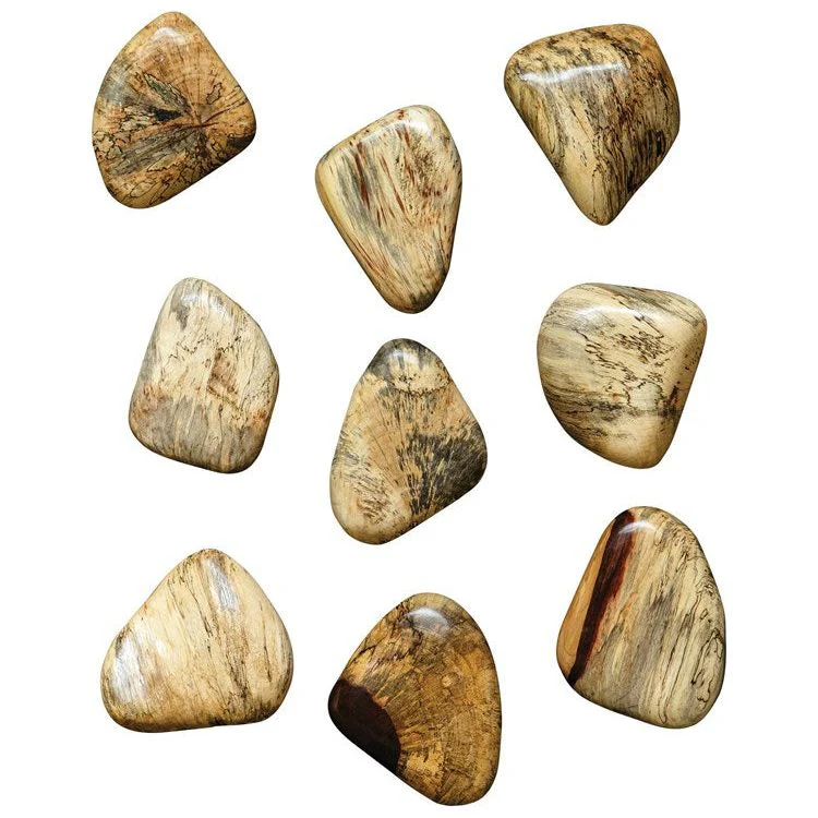 Uttermost Pebbles Set of 9 Natural Blonde Finish Spalted Tamarind Wood Wall Art Decor - Image 2