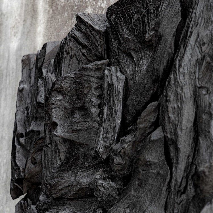Uttermost Rio Satin Black Teak Branches Wood Wall Panel - Image 5