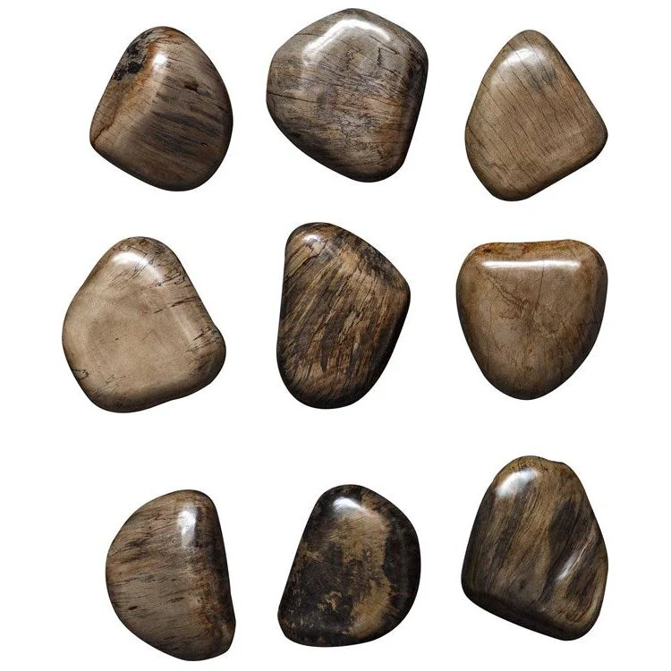 Uttermost Pebbles Set of 9 Walnut Brown Finish Spalted Tamarind Wood Wall Art Decor - Image 2
