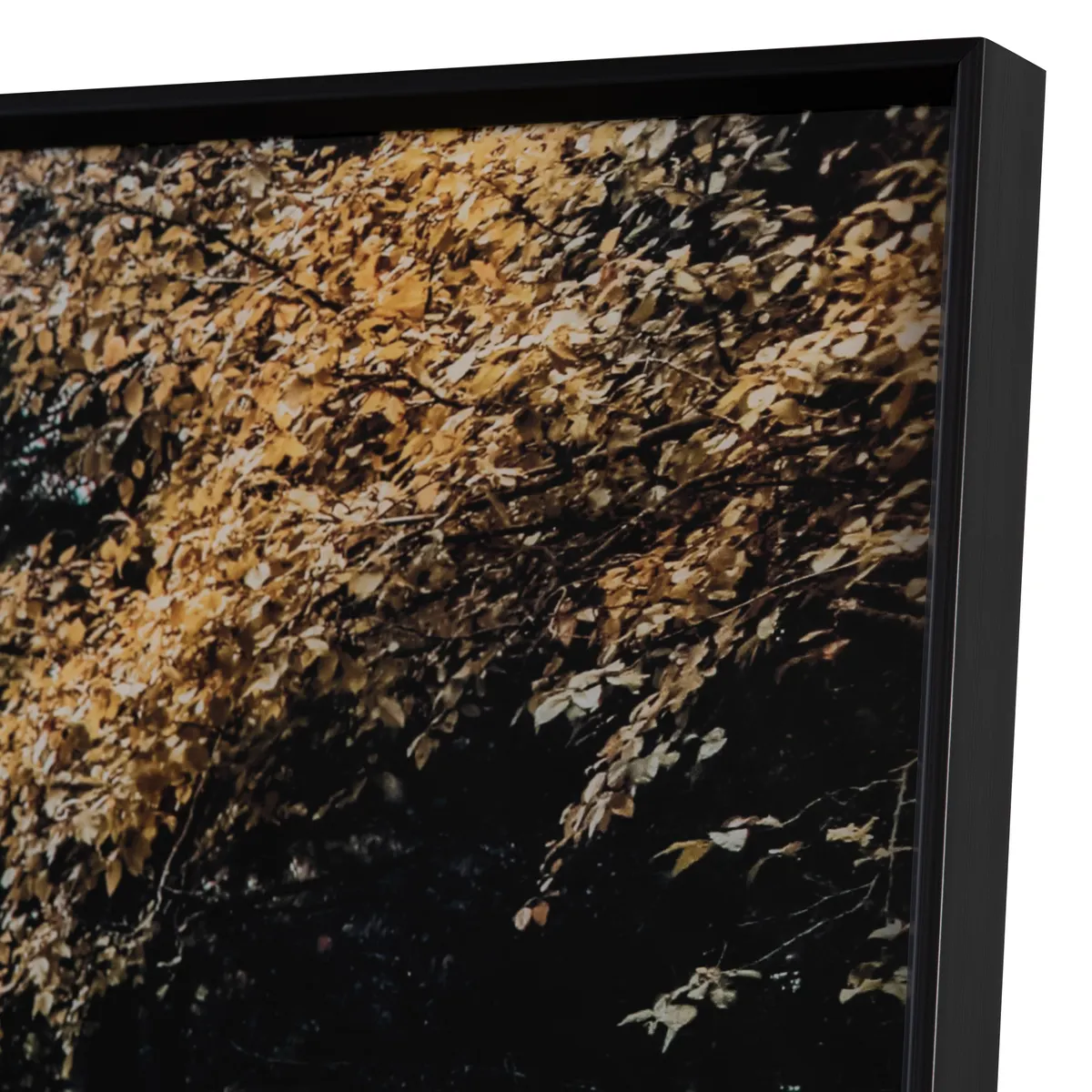 Crestview Collection Autumn Tracks Wall Art - Image 2
