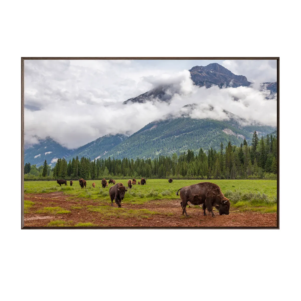 Crestview Collection Bison Valley Wall Art