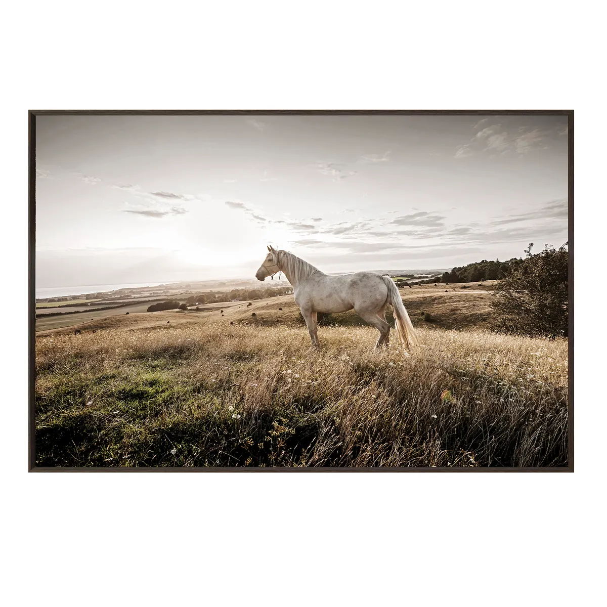 Crestview Collection Colbert Wall Art