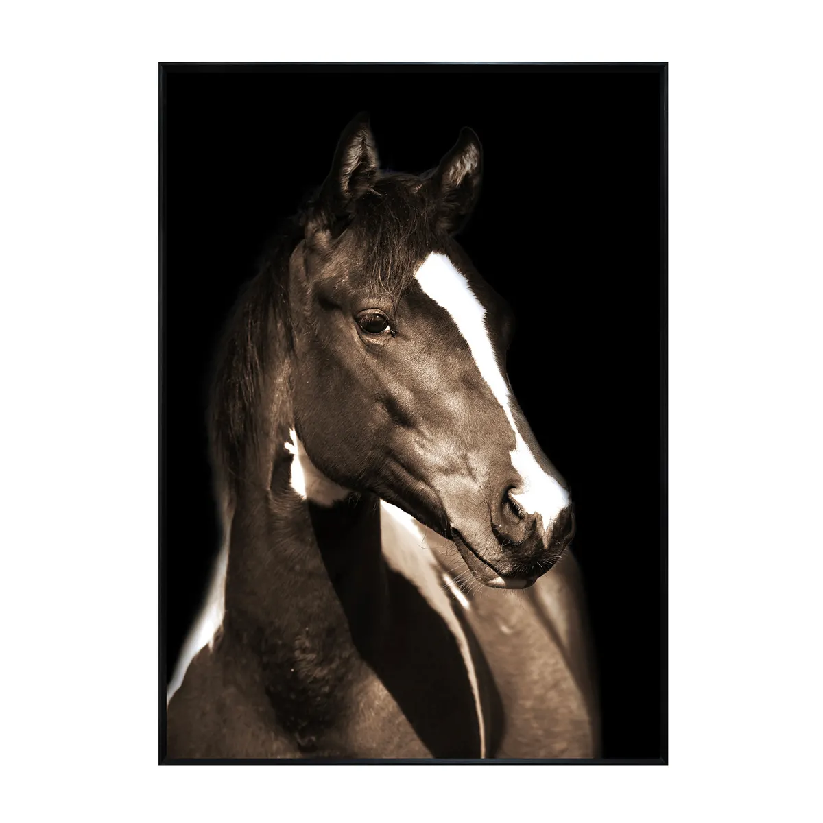 Crestview Collection Fayette 1 Printed On Tempered Glass Wall Art