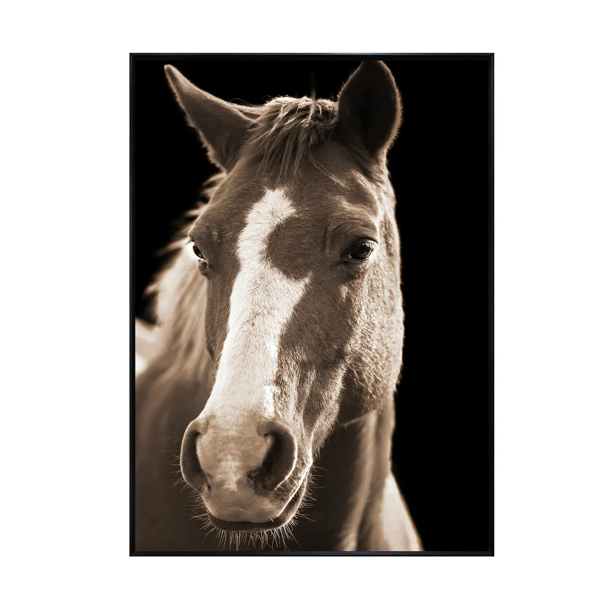 Crestview Collection Fayette 2  Wall Art