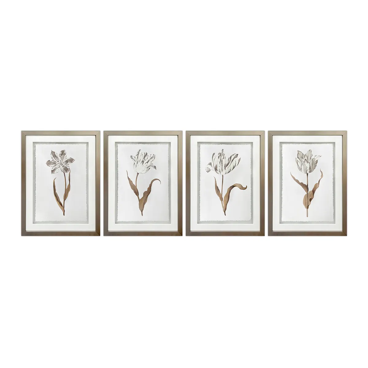 Crestview Collection Gilded Botanicals Wall Art ~ Set Of 4