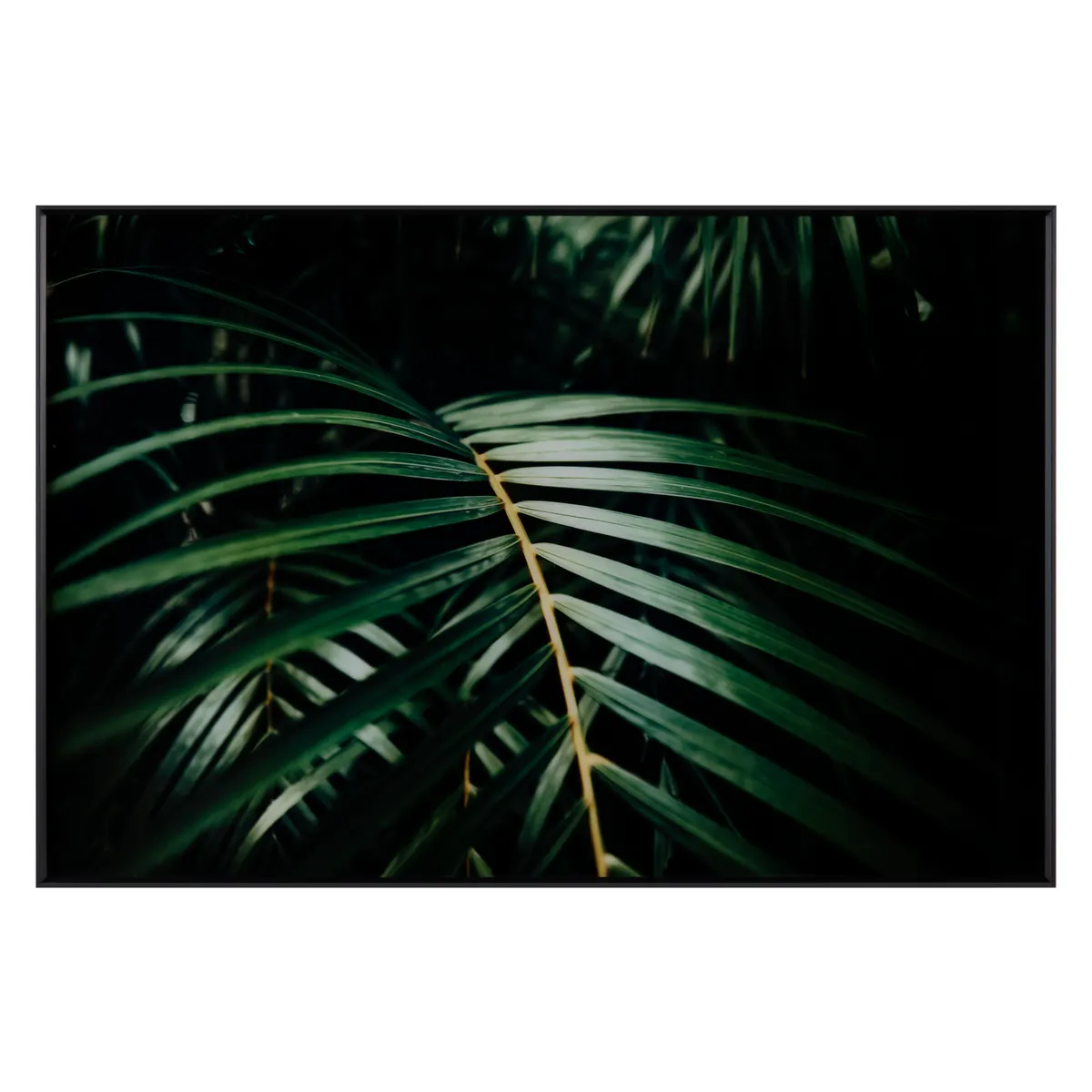 Crestview Collection Safari Leaves 2 Wall Art