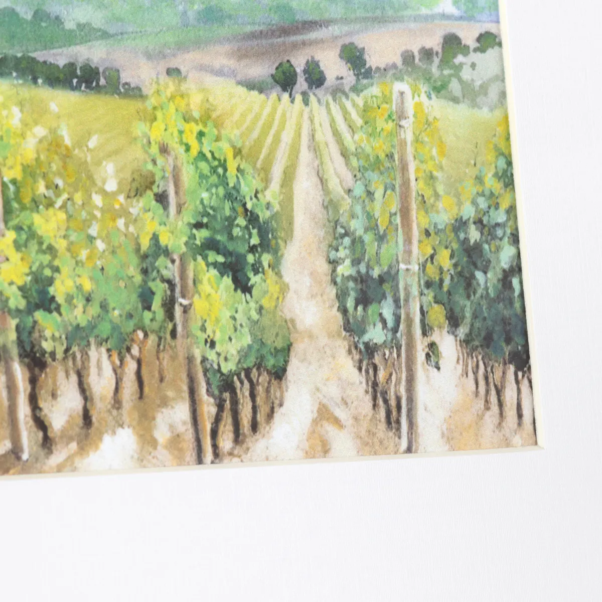Crestview Collection Vineyards Mini Prints Wall Art ~ Set Of 4 - Image 3