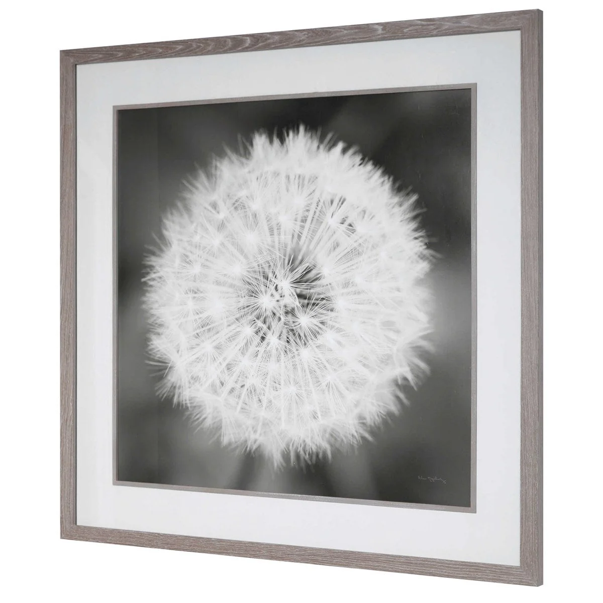 Uttermost Dandelion Seedhead Black and White Framed Print - Image 5