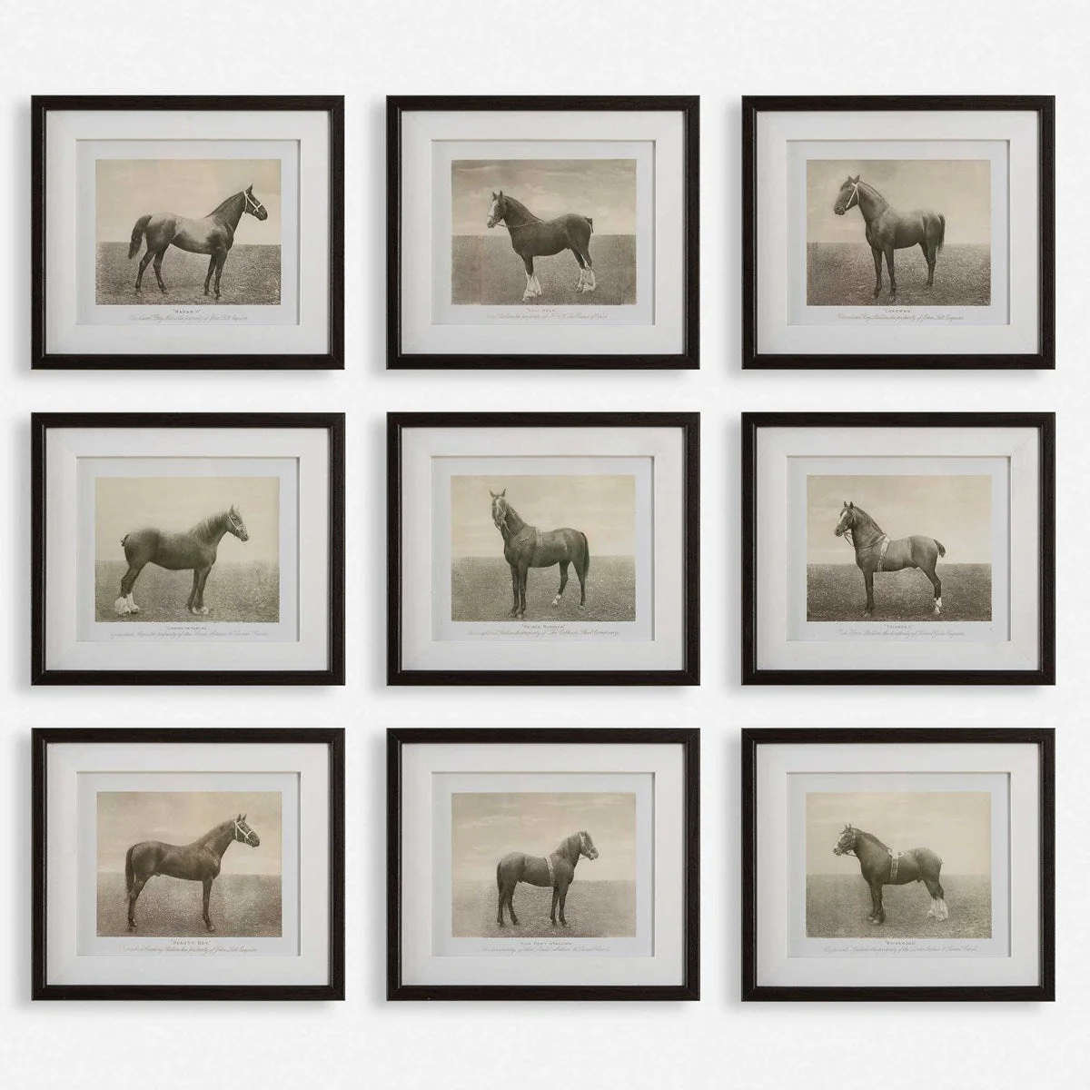 Uttermost Equine Dynasty Horse Sketch Set of 9 Framed Prints - Image 2