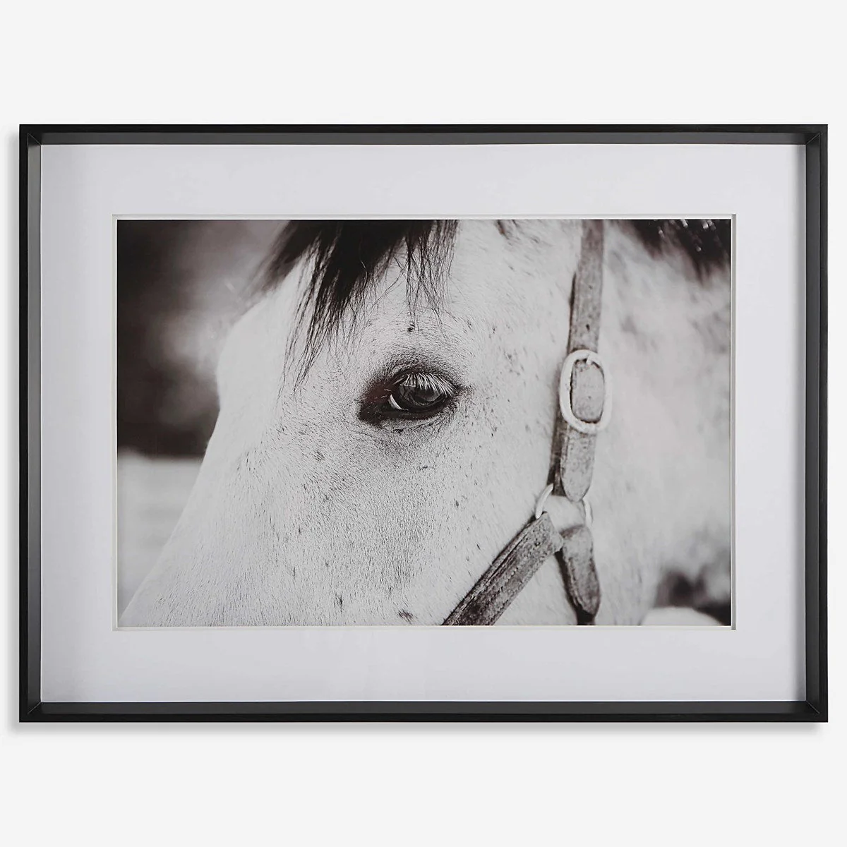 Uttermost Eye Of The Beholder Black and White Horse Framed Print - Image 2