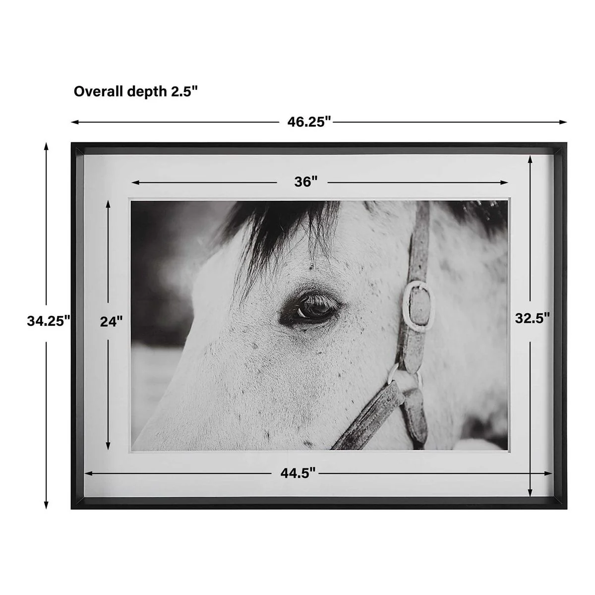 Uttermost Eye Of The Beholder Black and White Horse Framed Print - Image 8