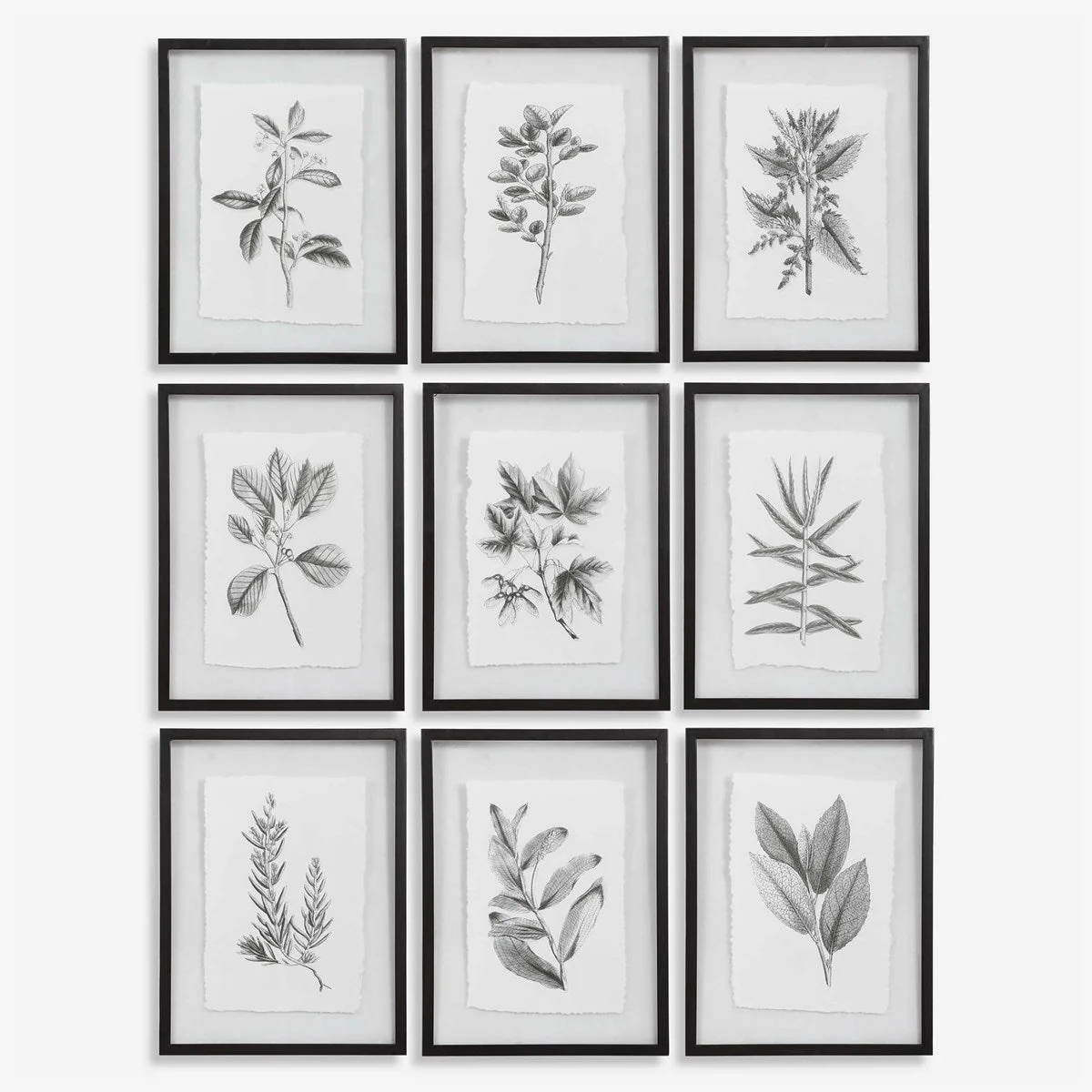 Uttermost Farmhouse Florals Set of 9 Framed Prints - Image 2
