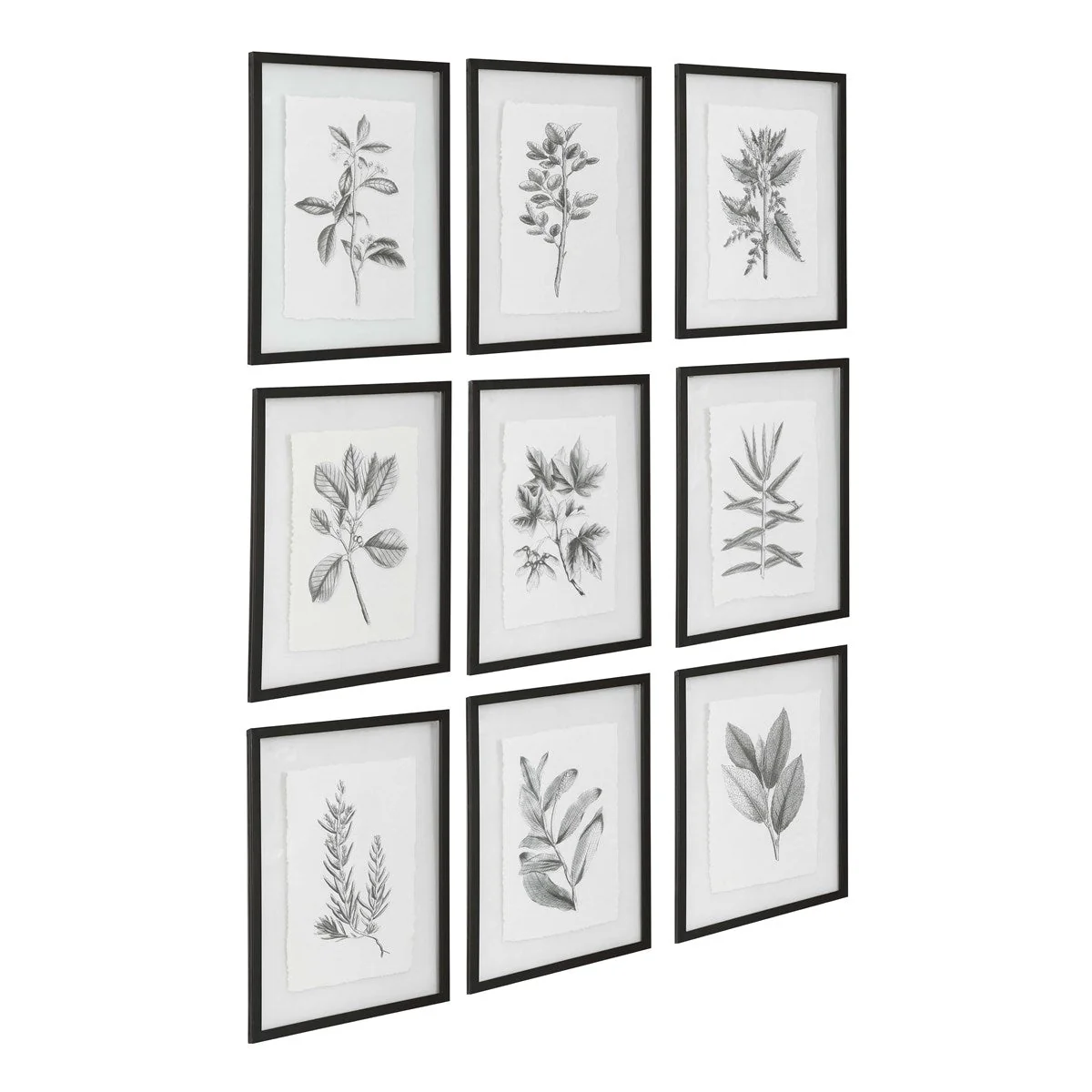 Uttermost Farmhouse Florals Set of 9 Framed Prints - Image 5