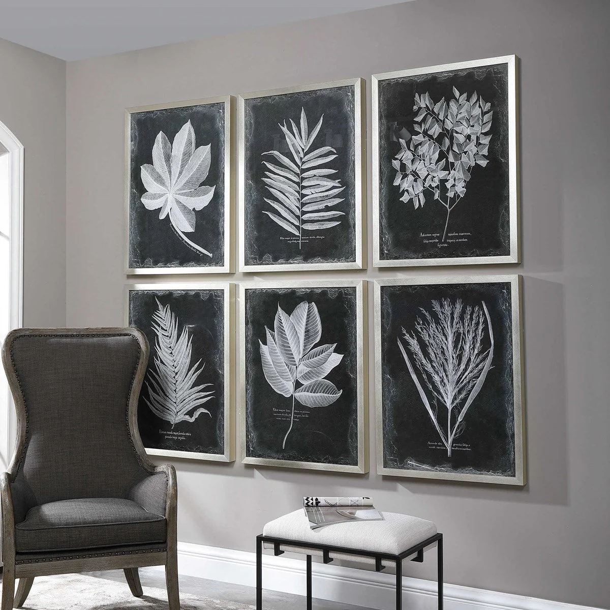 Uttermost Foliage Botanical Black and White Set of 6 Framed Prints - Image 3