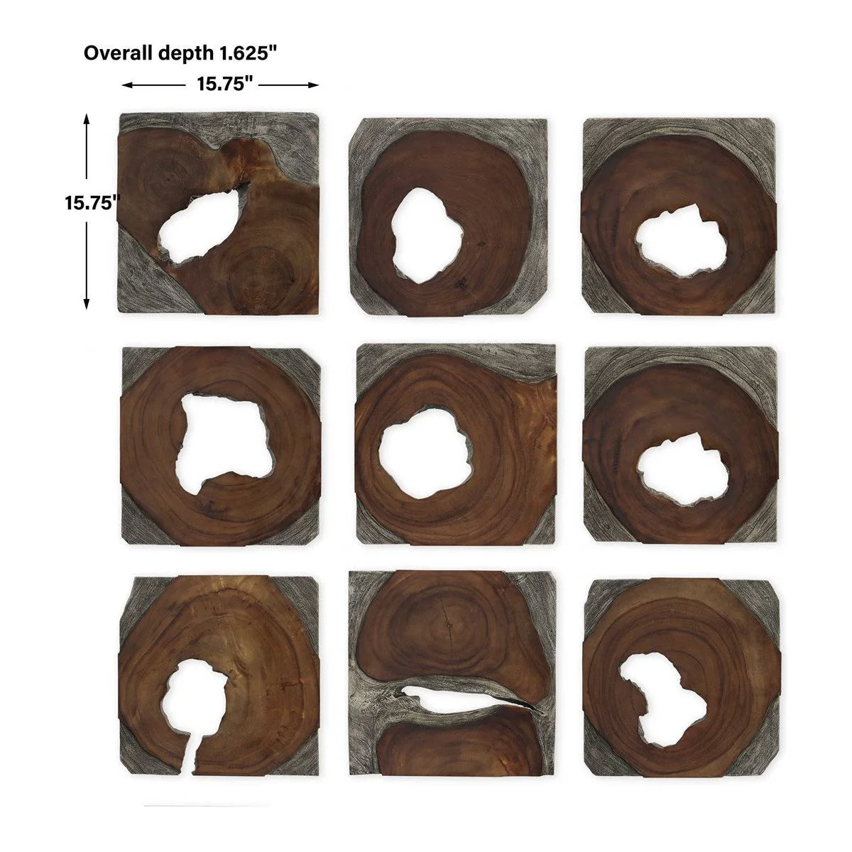Uttermost Jungle Set of 9 Suar Wood Wall Decor - Image 4