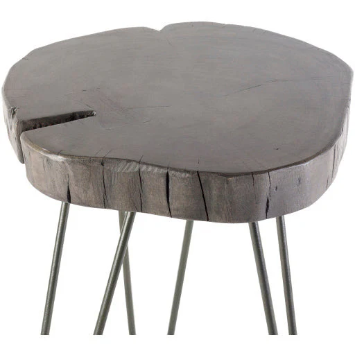Surya Larissa Modern Gray Wood Top With Black Metal Base Accent Side Table LRI-001 - Image 3