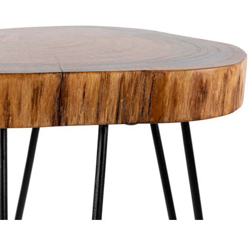Surya Larissa Modern Natural Wood Top With Charcoal Gray Metal Base Accent Side Table LRI-002 - Image 4