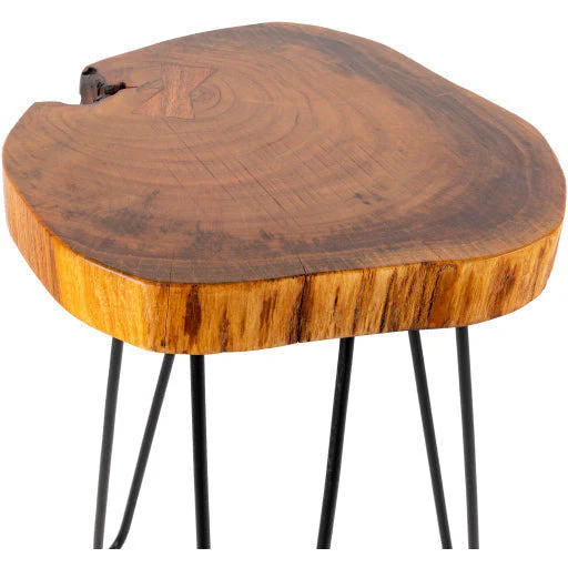 Surya Larissa Modern Natural Wood Top With Charcoal Gray Metal Base Accent Side Table LRI-002 - Image 5