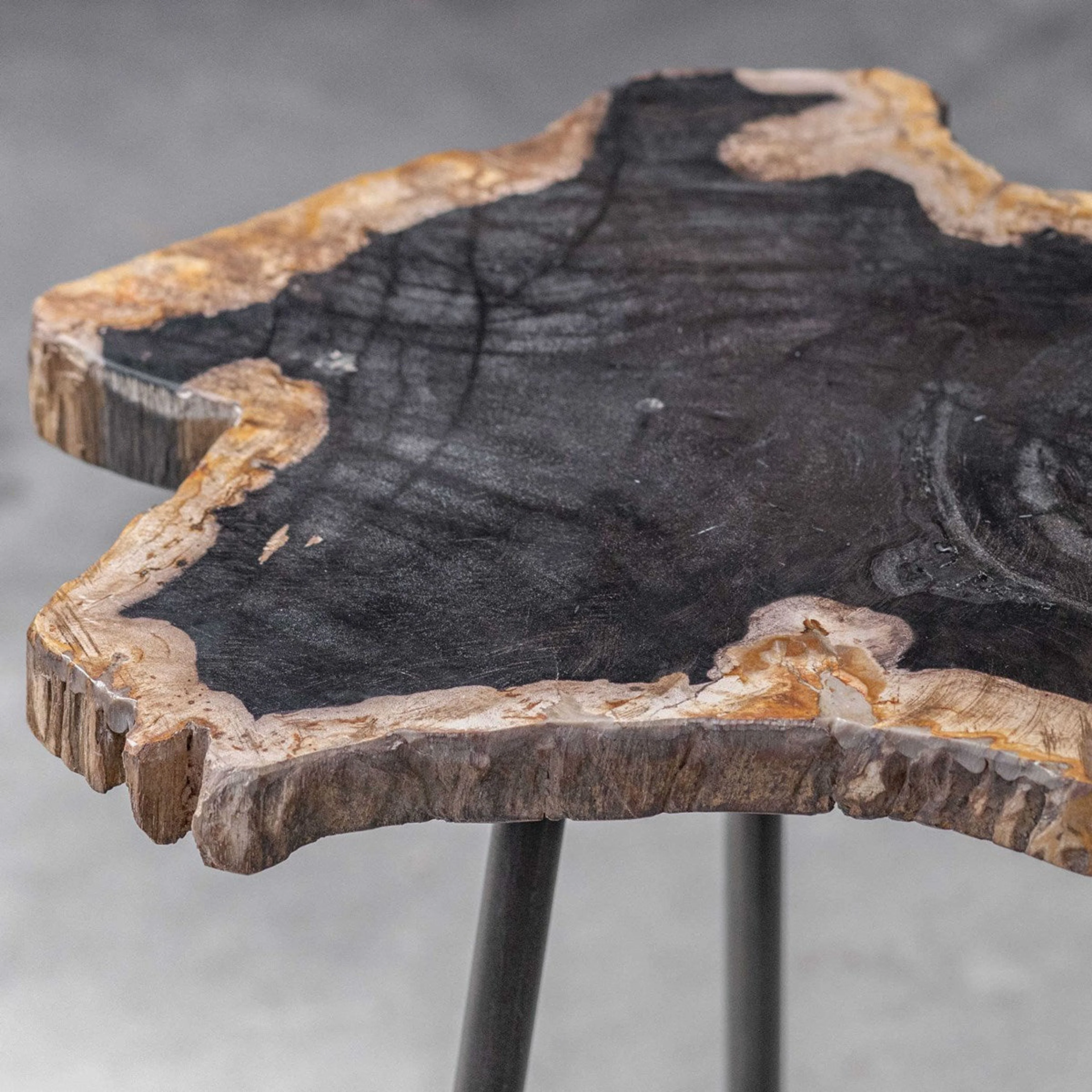Uttermost Mircea Natural Petrified Wood With Aged Black Iron Accent Table - Image 7