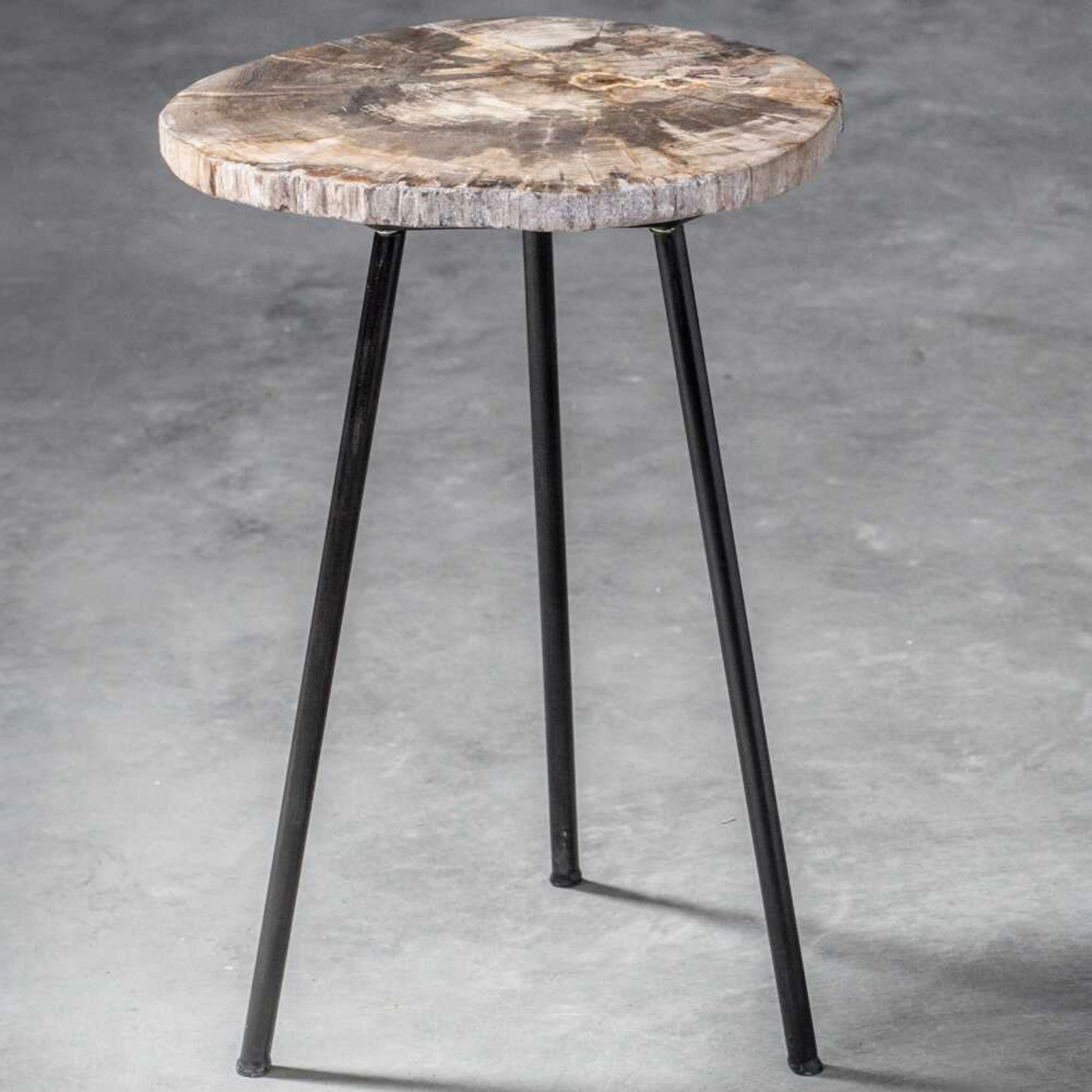 Uttermost Mircea Natural Petrified Wood With Aged Black Iron Accent Table - Image 8