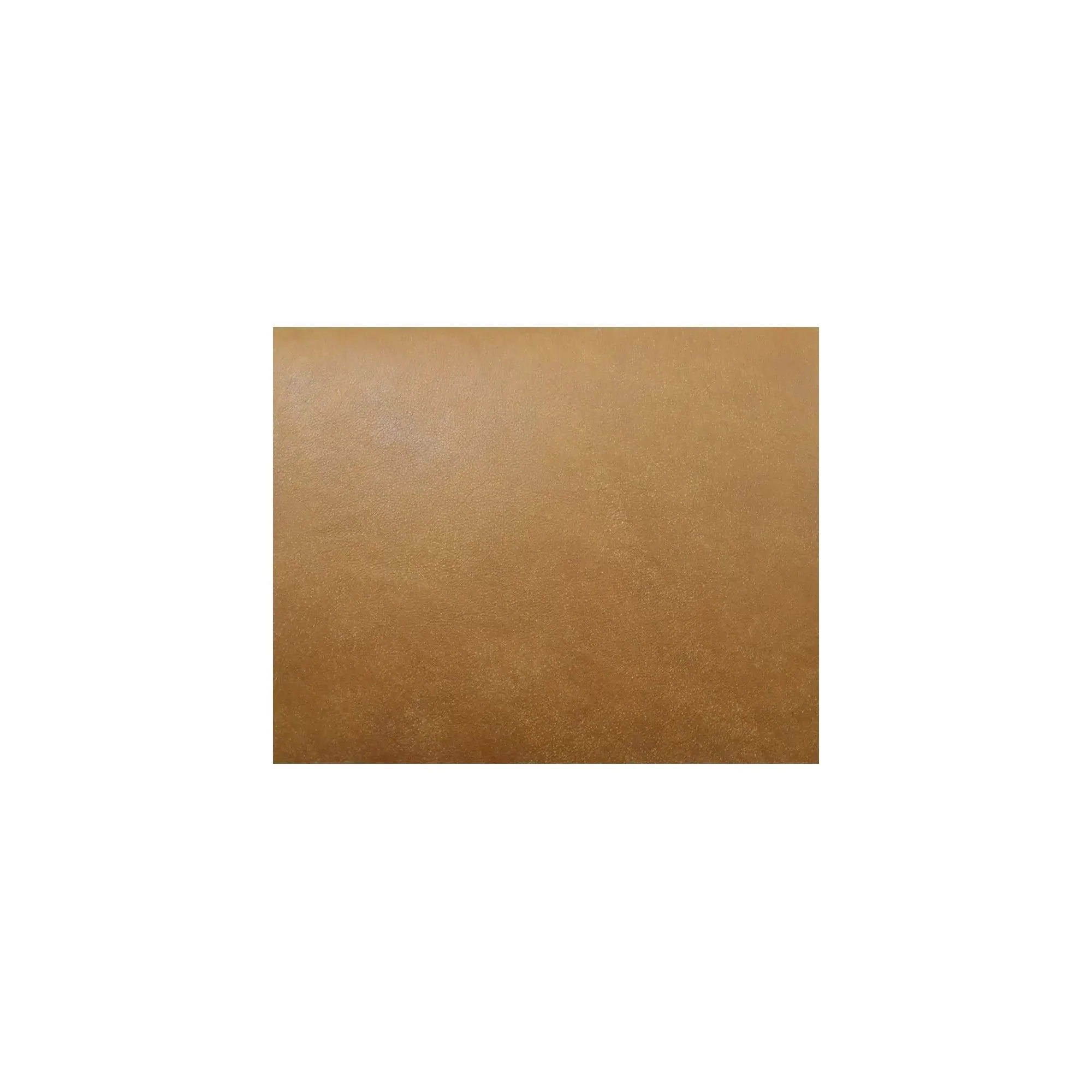 Moe's Home Collection Arturo Tan Leather Accent Chair - Image 11