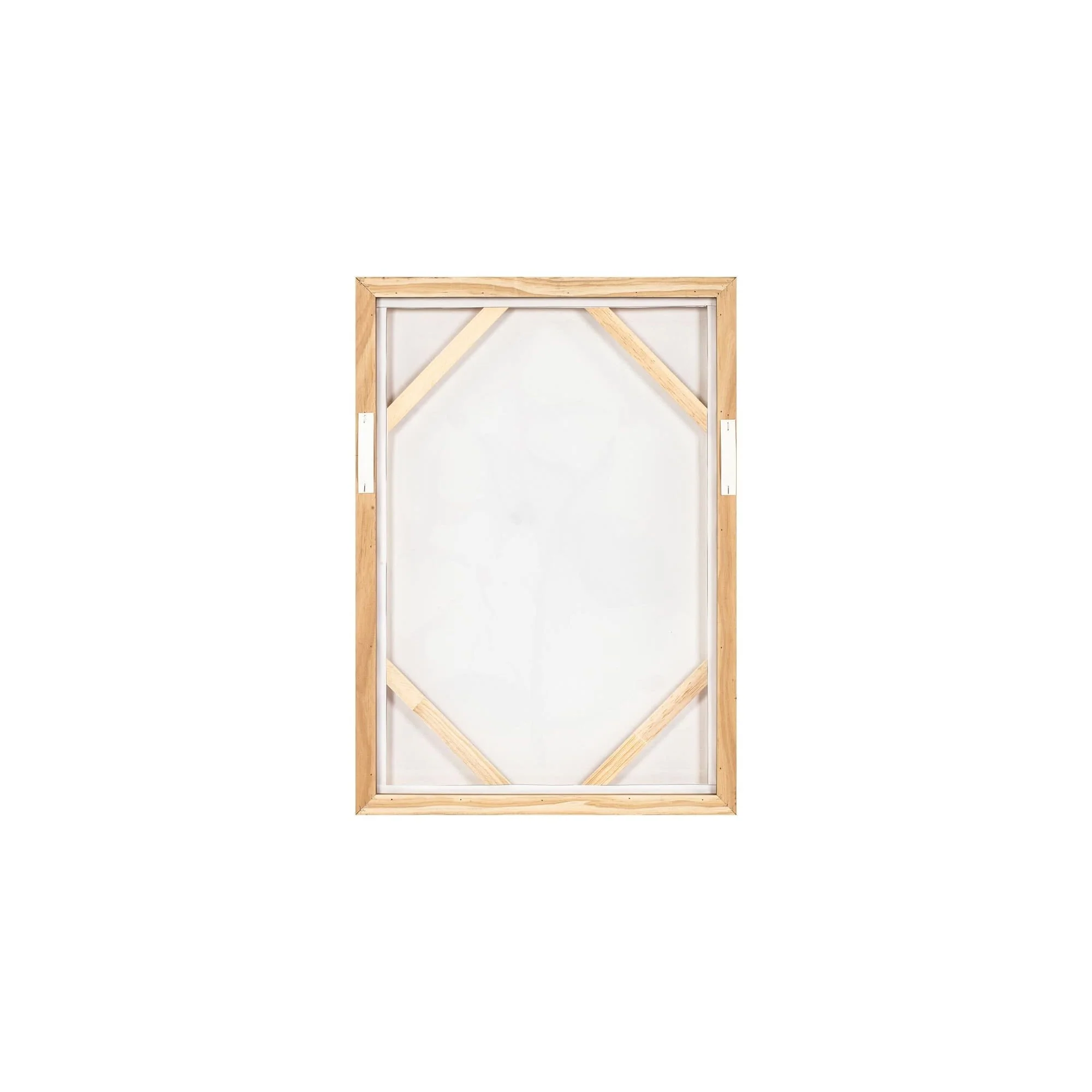 Moe's Home Blush Framed Painting - Image 5