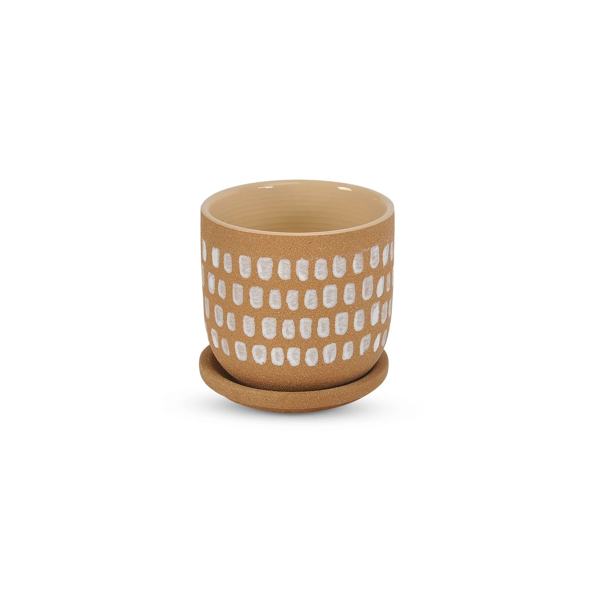Moe's Home Botanical Planter