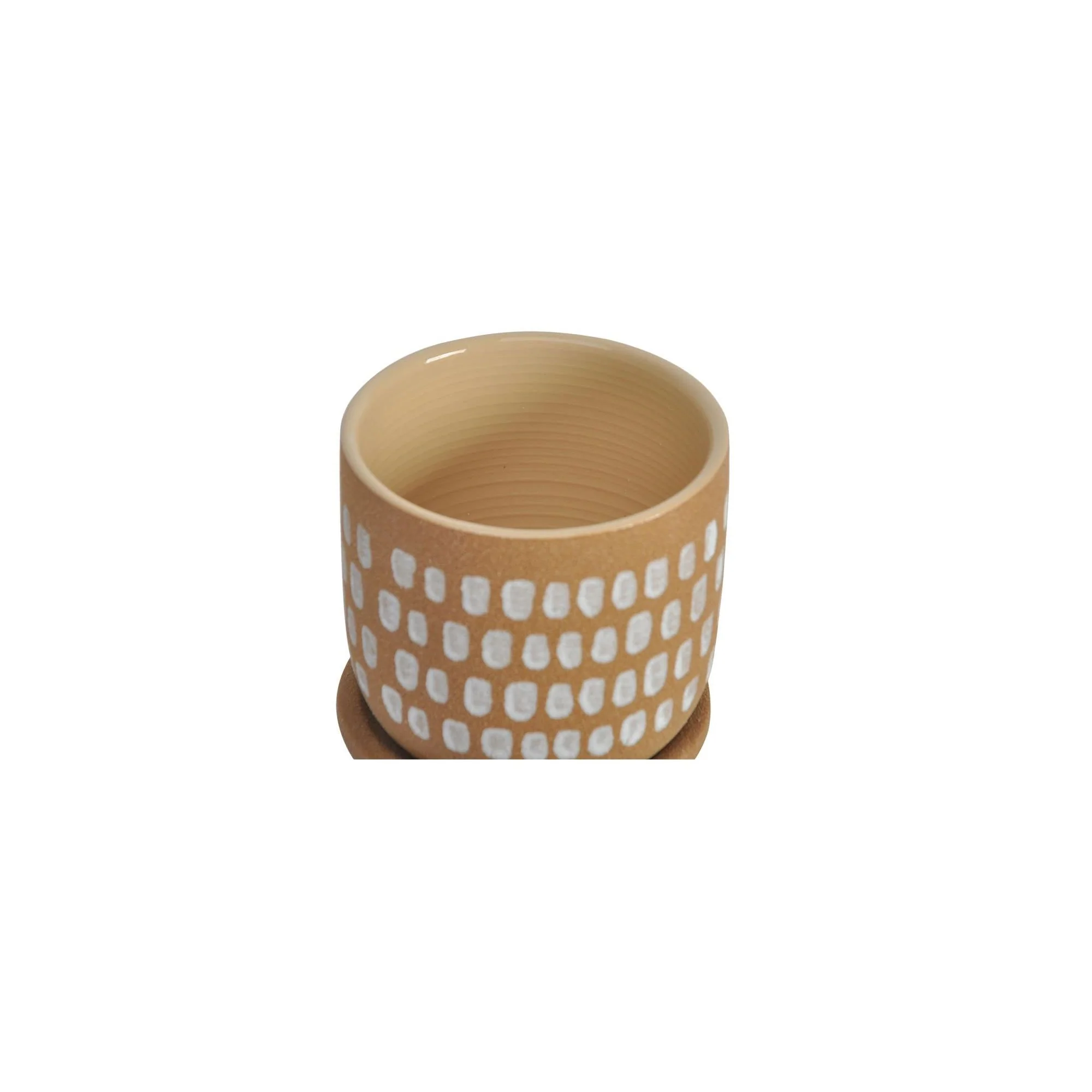 Moe's Home Botanical Planter - Image 4