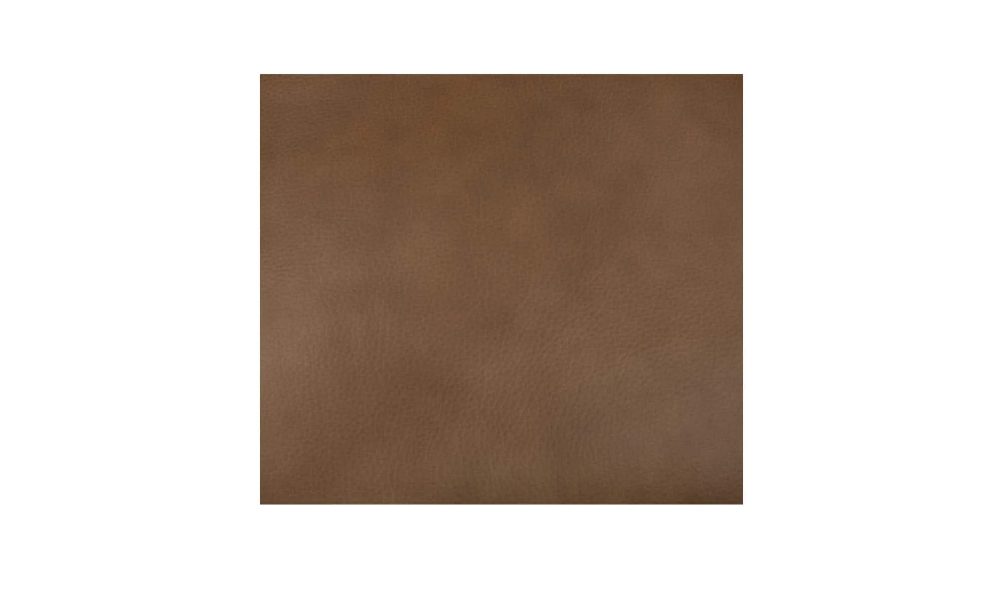 Moe's Home Maisie Rolling Dining Chair Tan Leather - Image 8