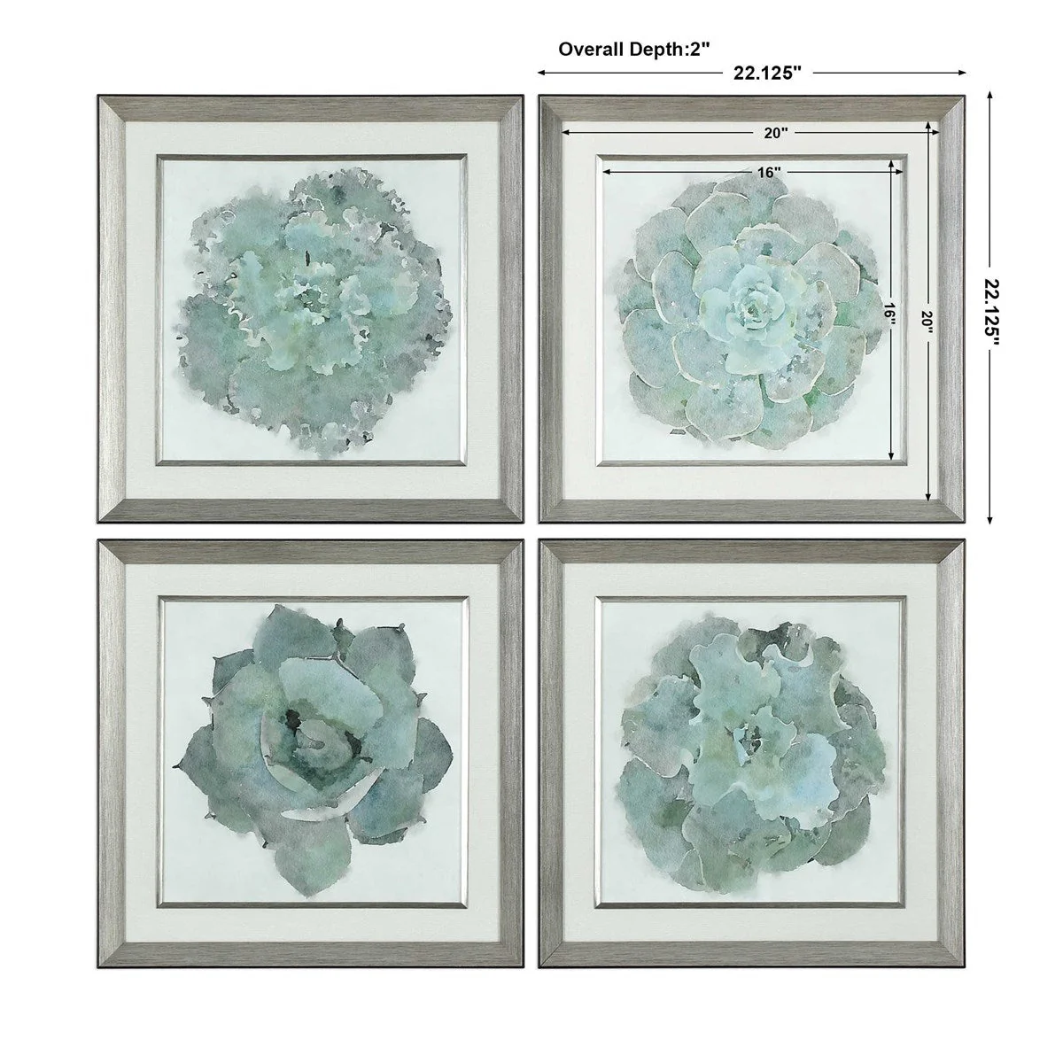 Uttermost Natural Beauties Set of 4 Framed Prints - Image 6