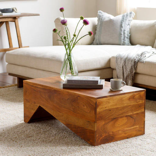 Surya Neemrana Modern Dark Brown Wood Coffee Table NEE-001