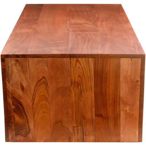 Surya Neemrana Modern Dark Brown Wood Coffee Table NEE-001 - Image 5
