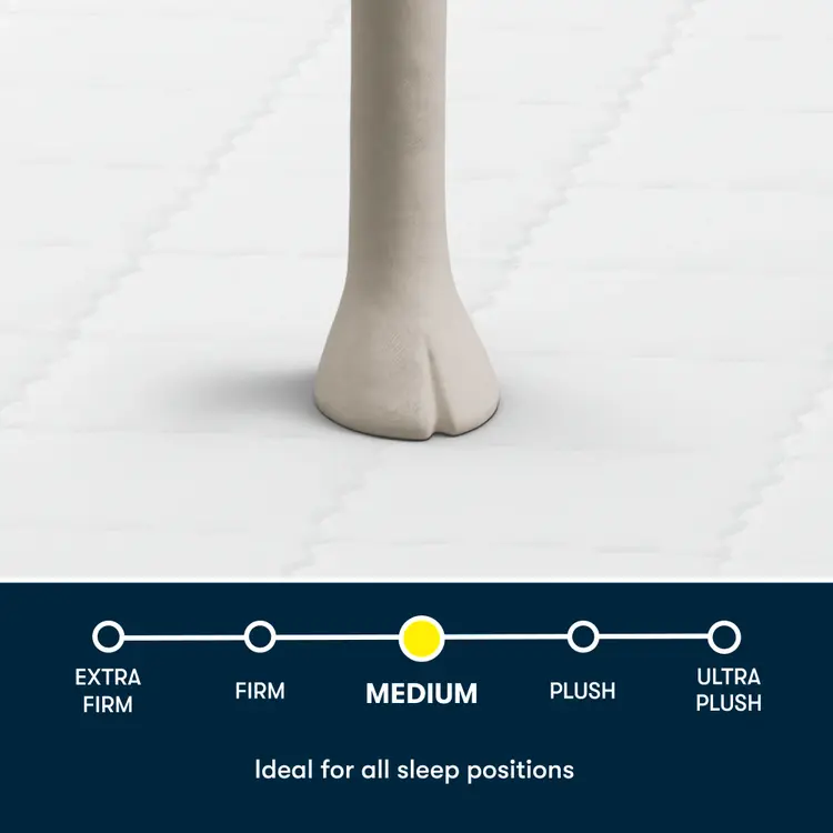 Serta Five Star Mattress Bed in a Box 8” Medium ~ Available in Twin, Twin XL, Full, Queen, King and Cal King Sizes - Image 2